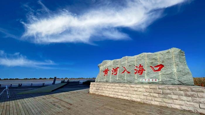 △黃河入海口位于山東東營市墾利區(qū)。(總臺央視記者彭漢明拍攝)