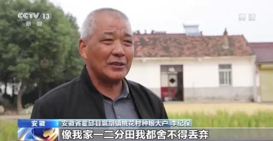 十八連豐！秋收近九成 我國(guó)糧食產(chǎn)能穩(wěn)步提升