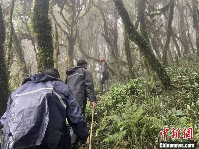 圖為救援現(xiàn)場(chǎng)。鎮(zhèn)沅縣委宣傳部提供