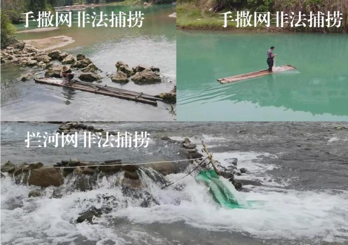 2021年9—10月，前期暗查發(fā)現(xiàn)，保護(hù)區(qū)核心區(qū)內(nèi)非法捕撈行為十分猖獗