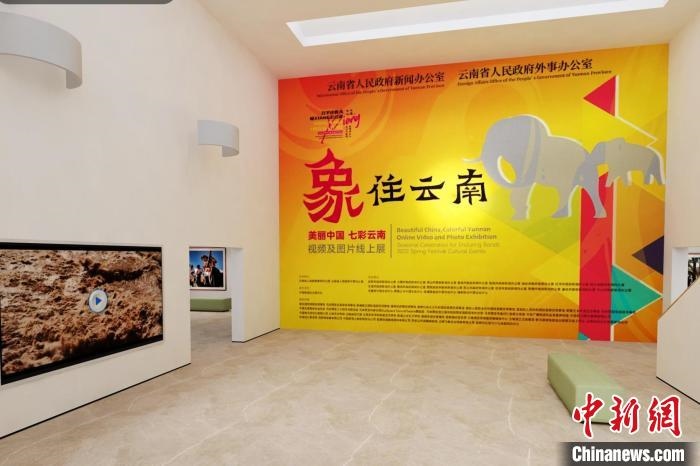 圖為“象”往云南——美麗中國(guó) 七彩云南視頻及圖片線上展截圖?！『h(yuǎn)航 攝
