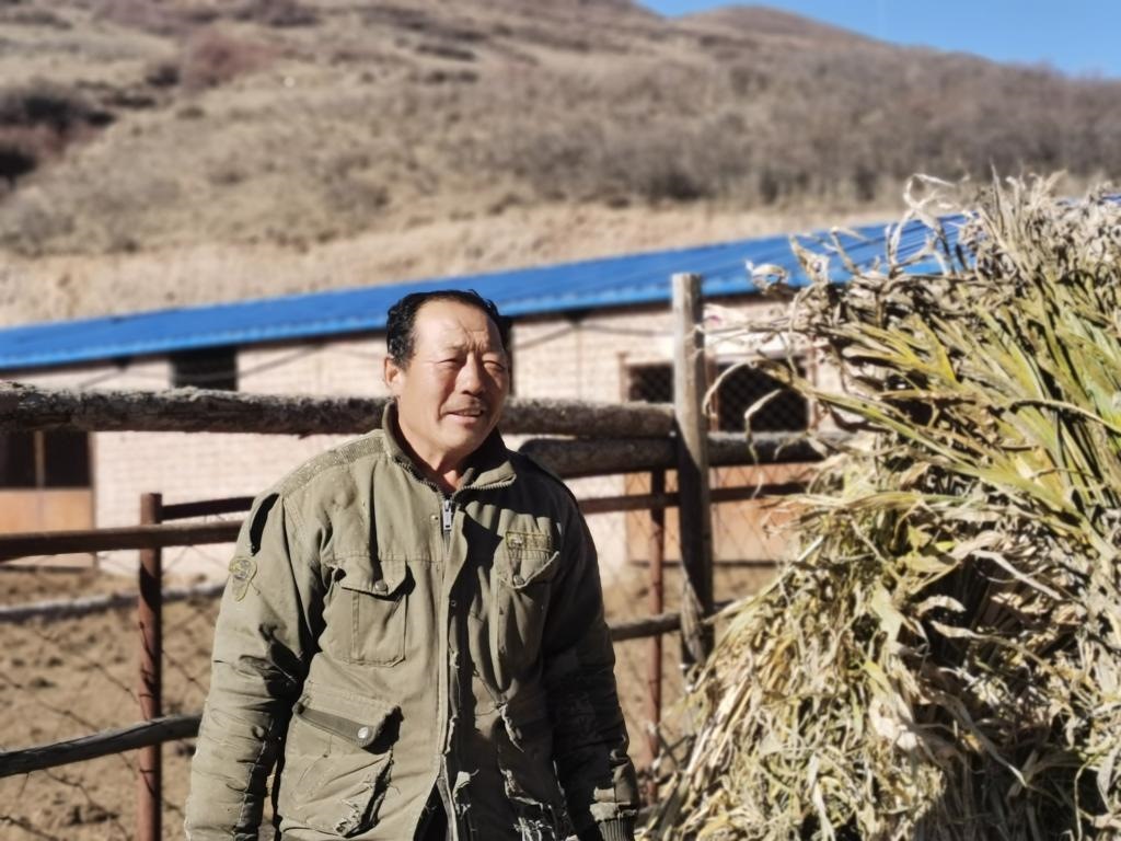 1月19日，山西省岢嵐縣脫貧戶呂如堂在牛圈前準(zhǔn)備草料。新華社記者 梁曉飛 攝