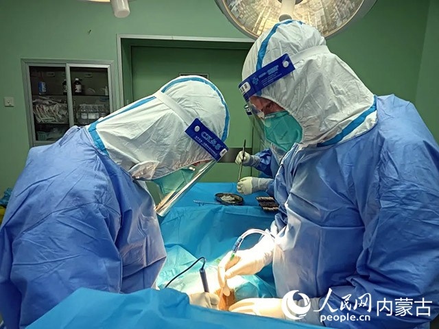 醫(yī)護(hù)人員正在為新冠肺炎合并腸梗阻腸穿孔的尿毒癥患者實(shí)施急診手術(shù)。呼和浩特市第一醫(yī)院供圖
