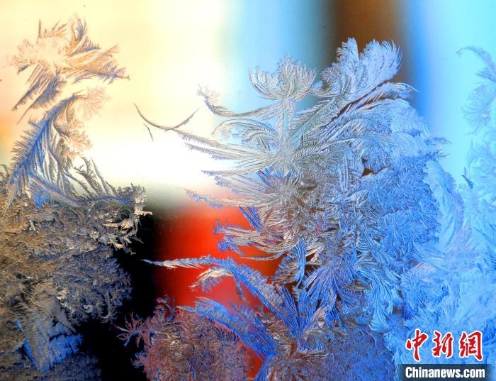 冰窗花千姿百態(tài)?！O書程 攝
