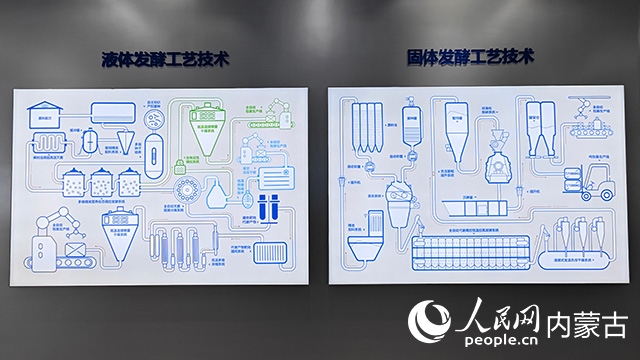 科拓生物工藝技術(shù)展示。人民網(wǎng)記者 張雪冬攝