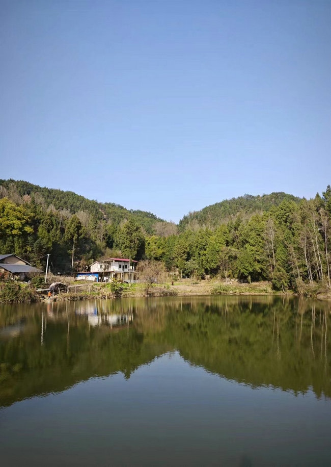 這樣在對面看，老家也算依山傍水.jpg