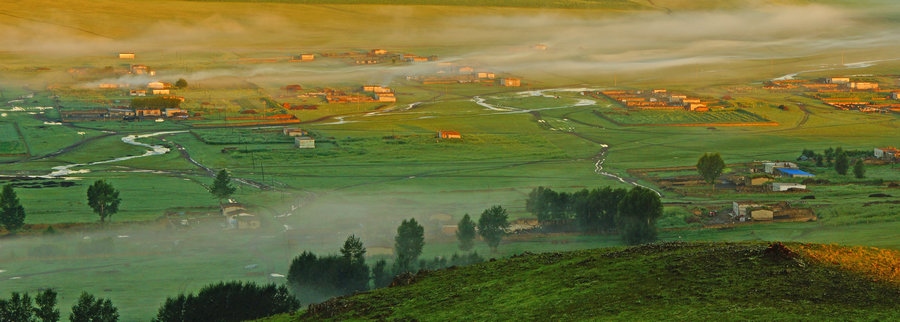 在“螞蟻森林”項(xiàng)目區(qū)，群眾攜手共添新綠（攝影：刁博禹）.jpg