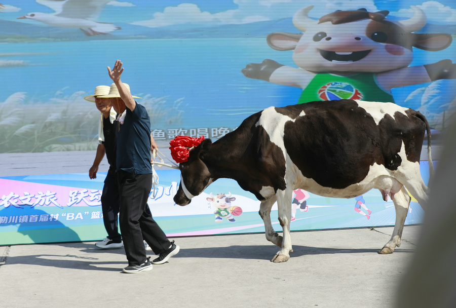 1752399113316154.jpg _O5A1814.JPG