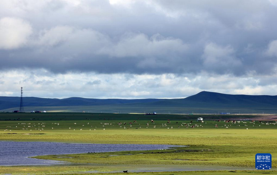 1754375892107192.jpg 20250804cbf74faacd9b4b2f964ec61d29ed561b_202508047bfd18787e214d019ee4491f79c743ea.jpg