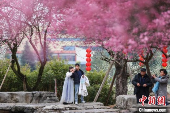 2月23日，市民在乾藝梅園景區(qū)觀(guān)賞綻放的梅花。瞿宏倫 攝