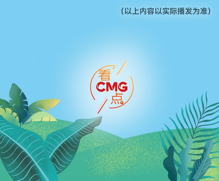 總臺周看點，來了！