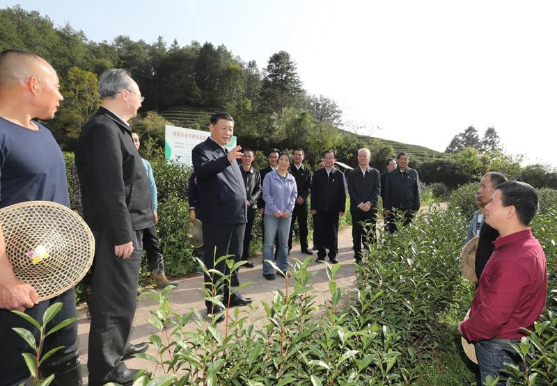 2021年3月22日，習(xí)近平總書記在福建南平武夷山市星村鎮(zhèn)燕子窠生態(tài)茶園，同科技特派員、茶農(nóng)親切交流，了解當(dāng)?shù)夭璁a(chǎn)業(yè)發(fā)展情況。
