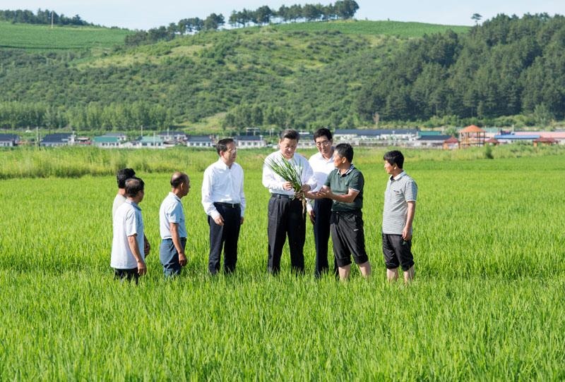 2015年7月16日，習(xí)近平總書記在吉林延邊州光東村稻田同村民和農(nóng)技人員交流。