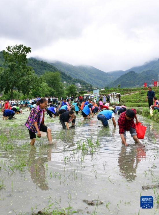 5月27日，秭歸縣九畹溪鎮(zhèn)農(nóng)民參加摸魚比賽。