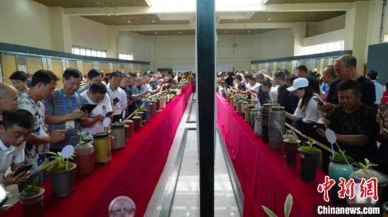 圖為活動現(xiàn)場。 云南省委臺辦供圖