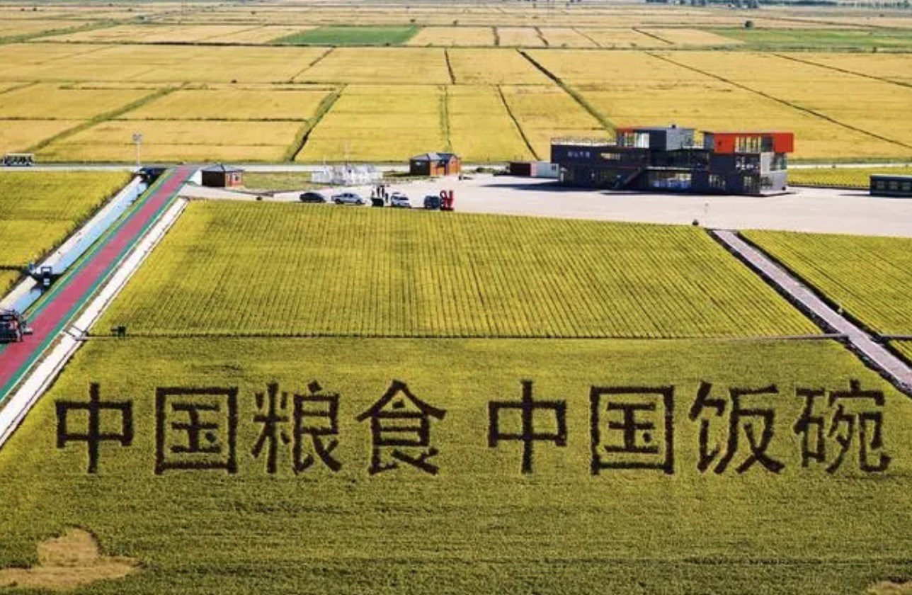 2022年9月2日，黑龍江省富錦市萬畝水稻科技示范園內(nèi)的稻田畫。