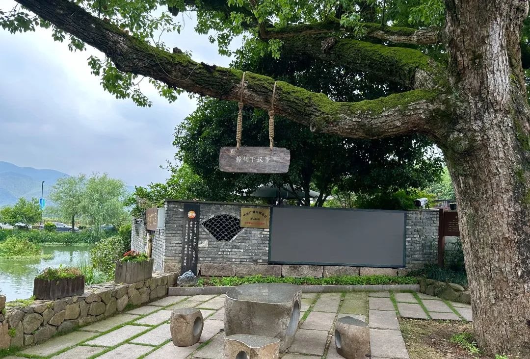 浙江省杭州市余杭區(qū)小古城村的“樟樹下議事”木制字牌。靜玄 攝