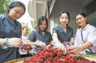 志愿者和村民一起將摘下的楊梅裝進(jìn)食品盒里。