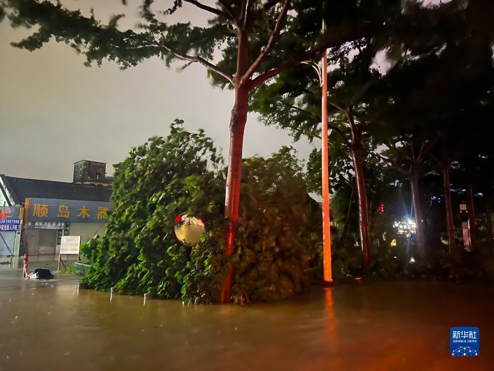 7月17日晚，在廣東湛江海濱大道北，路邊的樹木被風(fēng)刮倒（手機(jī)照片）。新華社記者 鄧華 攝
