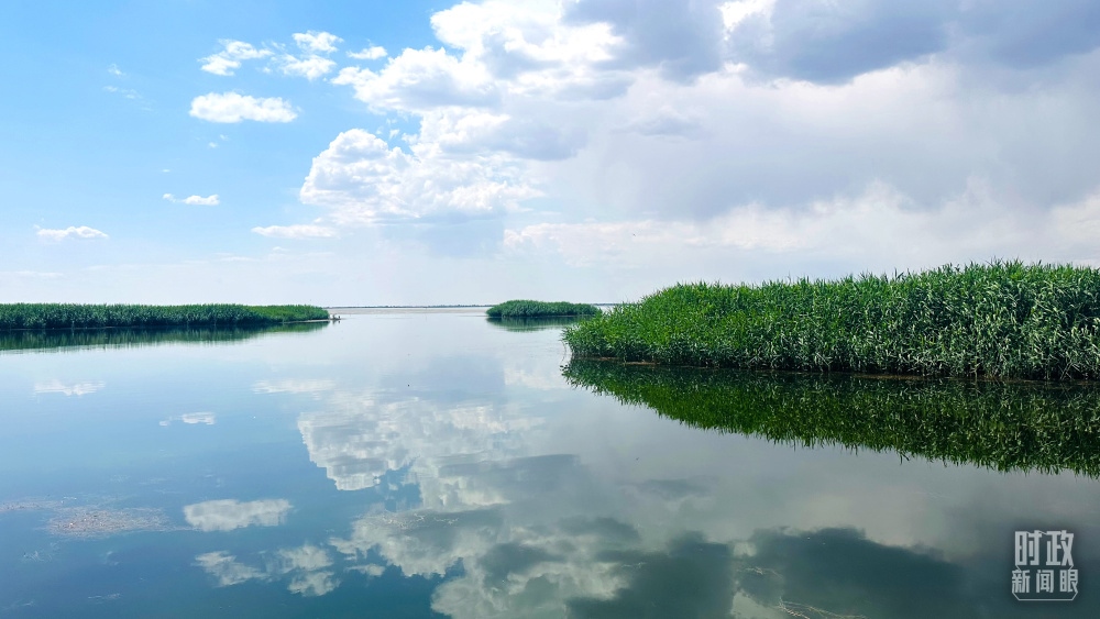 內(nèi)蒙古烏梁素海，是黃河流域最大的湖泊濕地。（總臺(tái)央視記者范一鳴拍攝）
