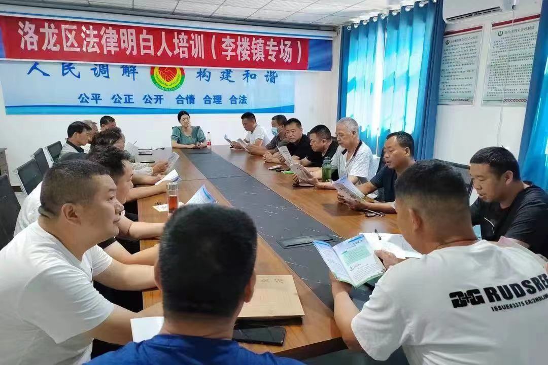河南省洛陽市洛龍區(qū)李樓司法所開展《民法典》專題普法講座暨“法律明白人”培訓(xùn)。河南省司法廳供圖