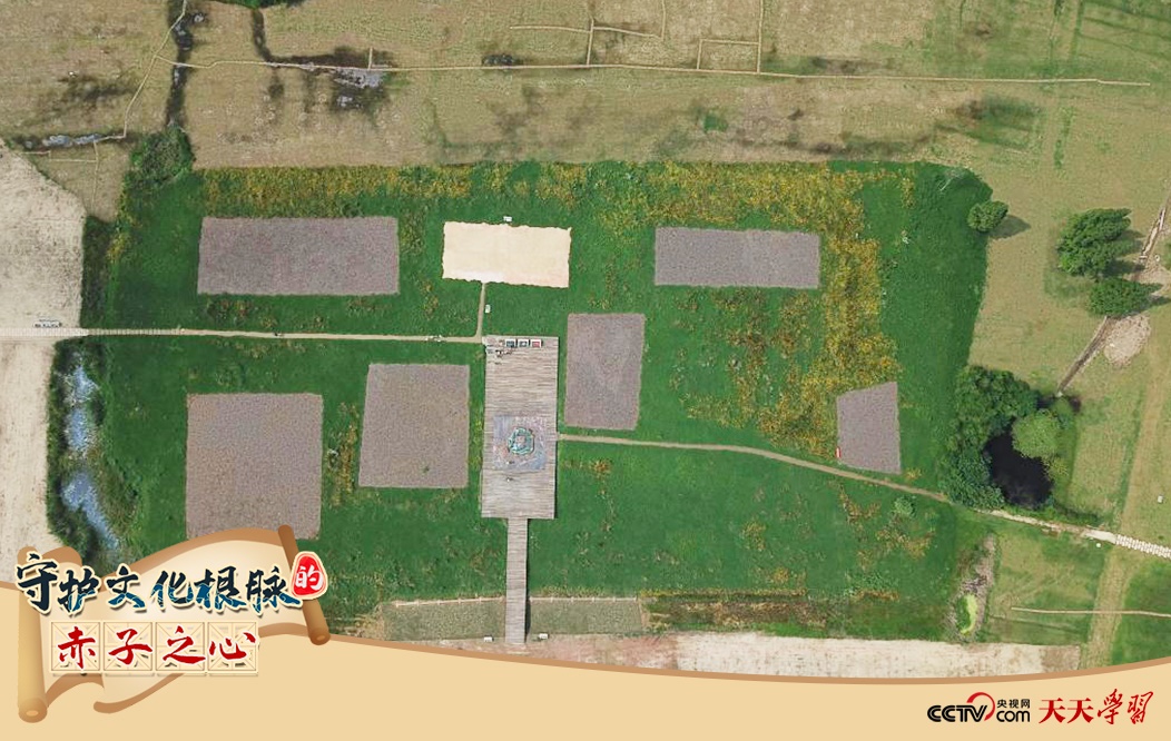 2019年6月23日無人機拍攝的良渚國家考古遺址公園的宮殿區(qū)。