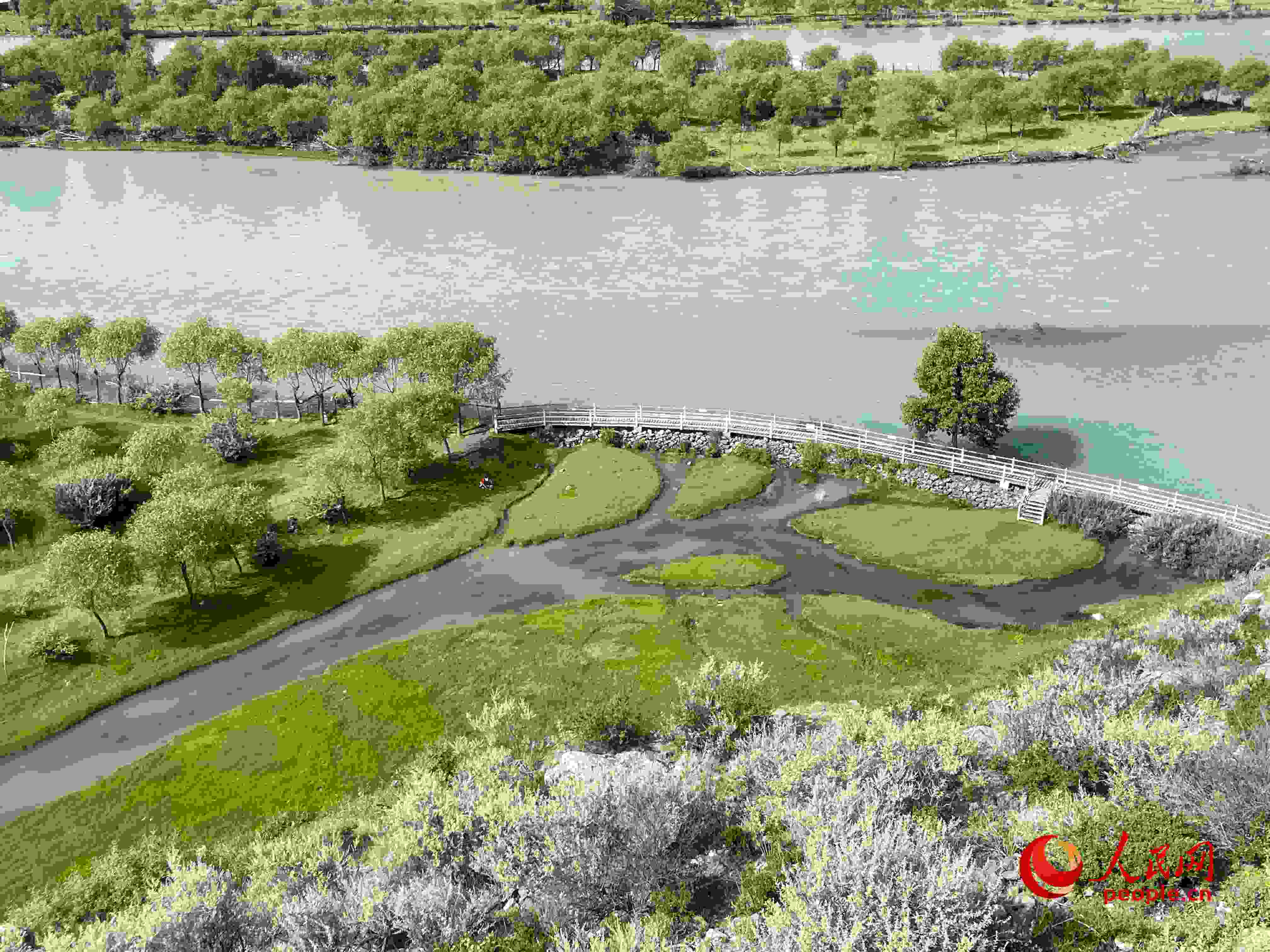 夏日的雅尼國家濕地公園生機盎然，如詩如畫。人民網(wǎng) 周靜圓攝