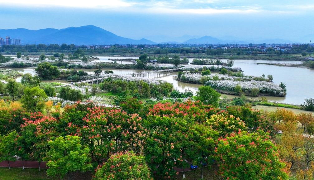 2022年10月11日拍攝的天漢濕地公園景色。新華社發(fā)（宋曉麗 攝）