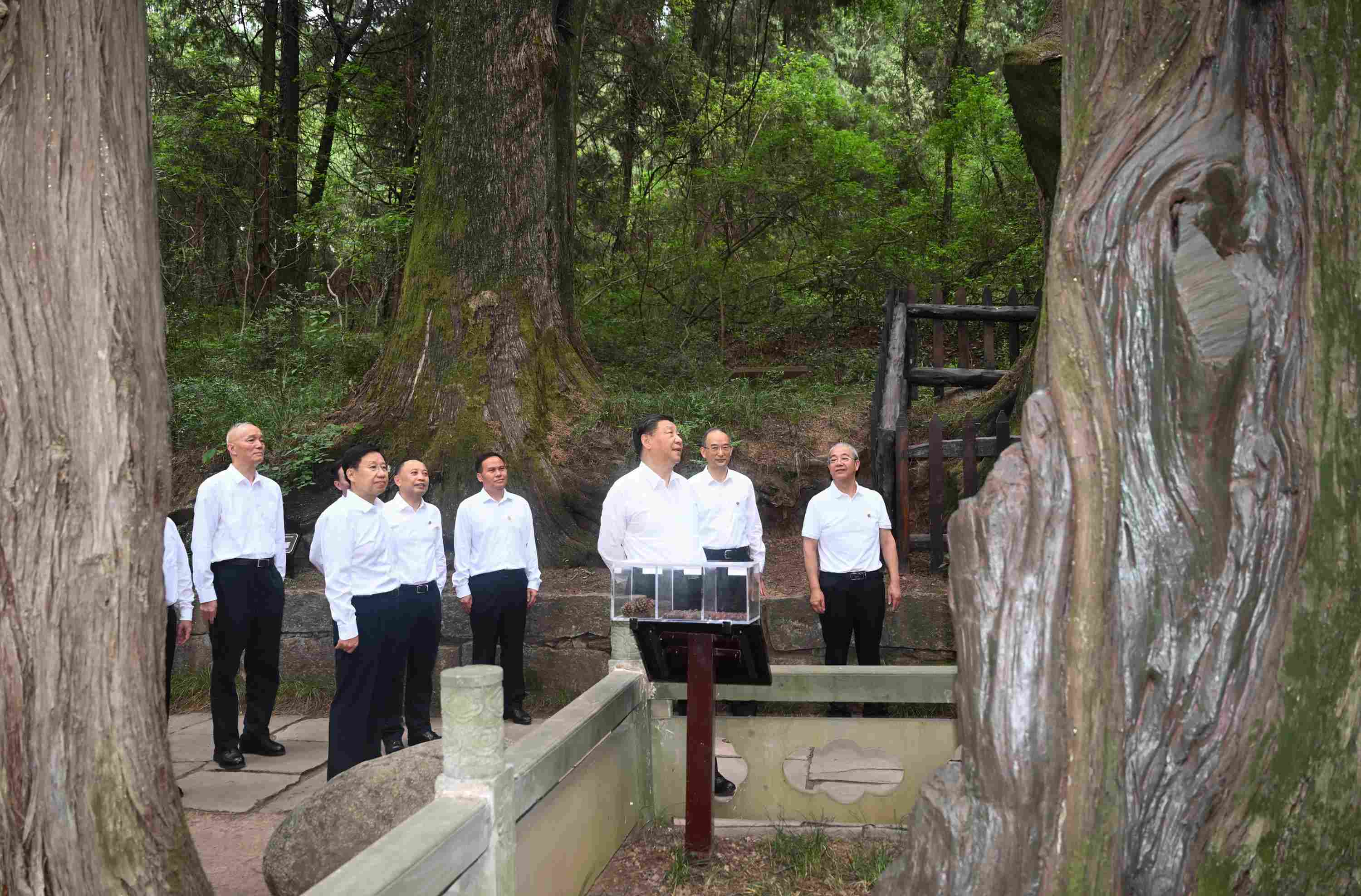 △2023年7月25日，習(xí)近平總書記在四川省廣元市考察了翠云廊古蜀道，了解當(dāng)?shù)赝七M(jìn)歷史文化傳承、加強(qiáng)生態(tài)文明建設(shè)等情況。