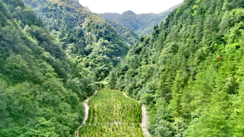 建設(shè)中的西氣東輸三線中段。受訪者供圖