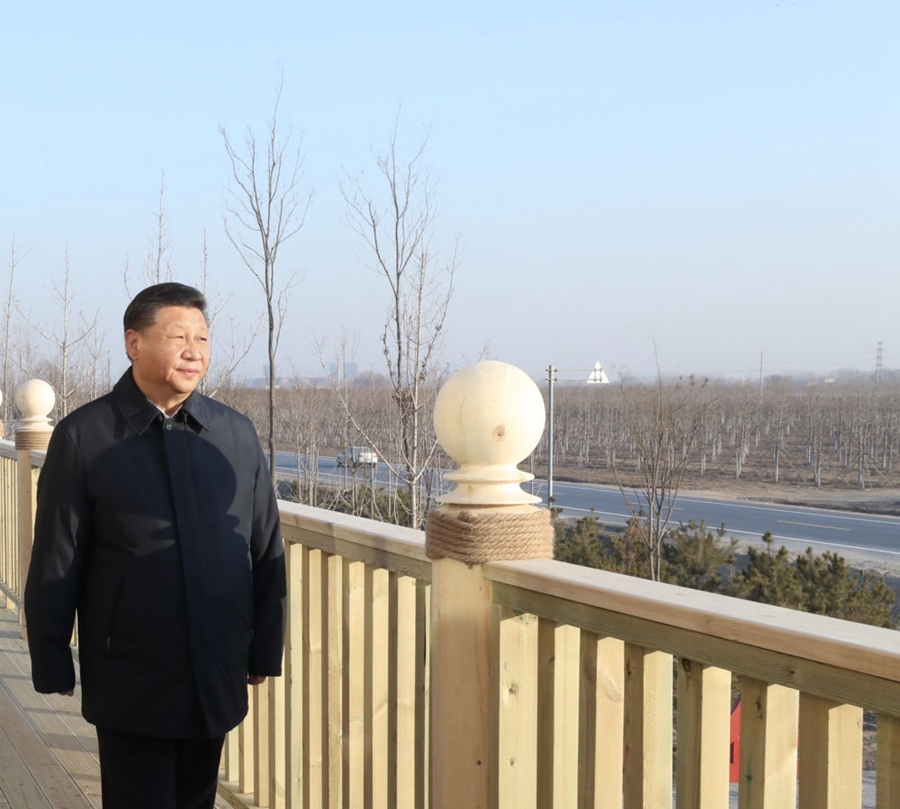 2019年1月16日，習近平在河北雄安新區(qū)考察調研。在“千年秀林”大清河片林一區(qū)造林區(qū)域，習近平登上秀林驛站二層平臺遠眺林區(qū)全貌。