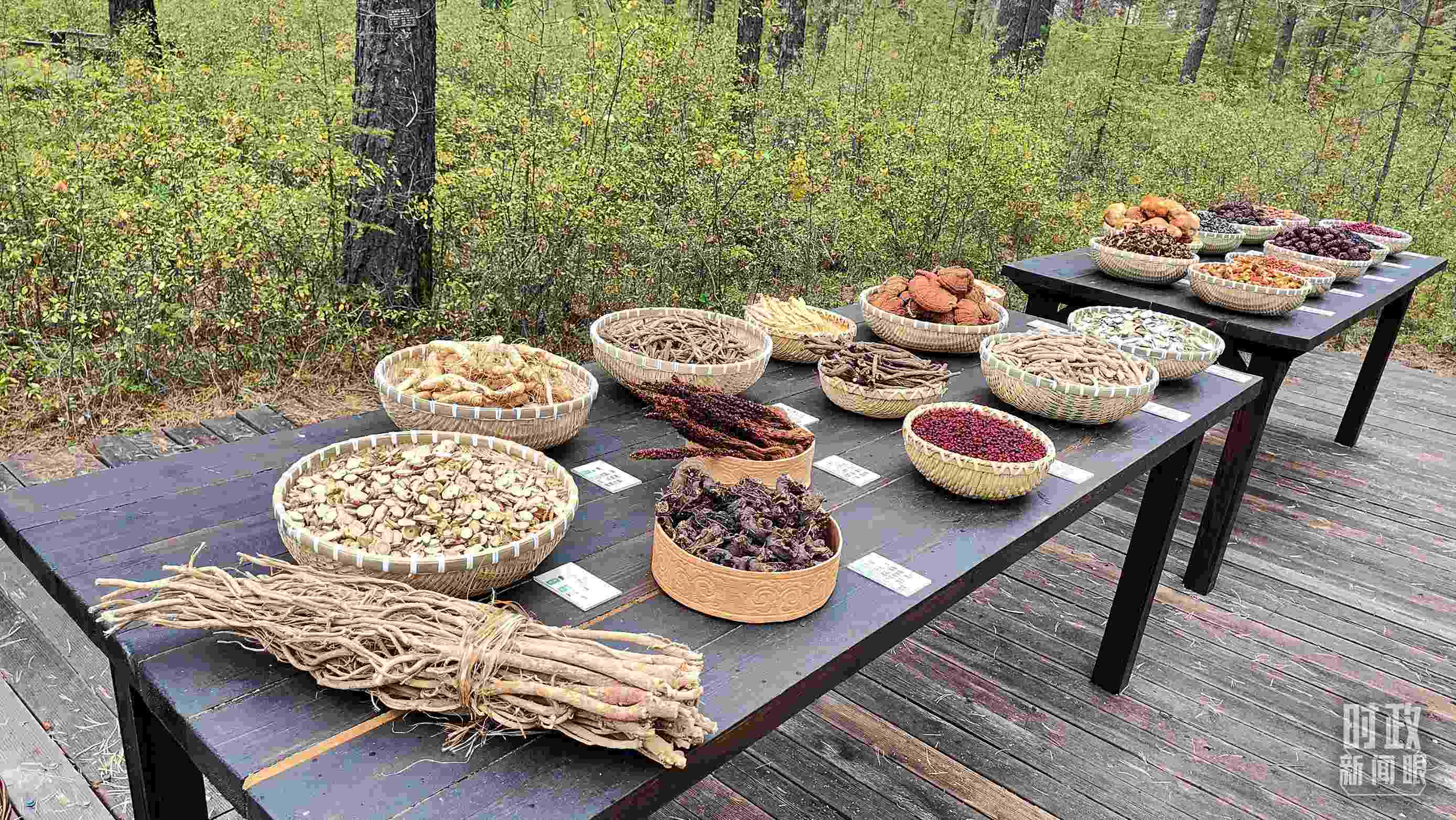 △林場里的食用菌、林果等特產(chǎn)。（總臺央視記者楊立峰拍攝）
