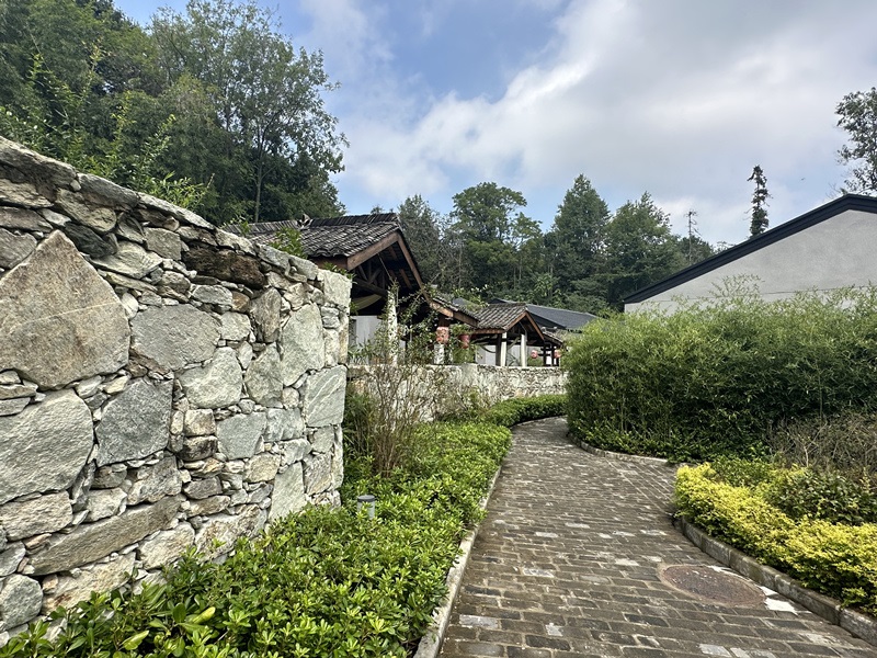 眾多民宿坐落于夫子山山麓。人民網(wǎng) 王紹紹攝