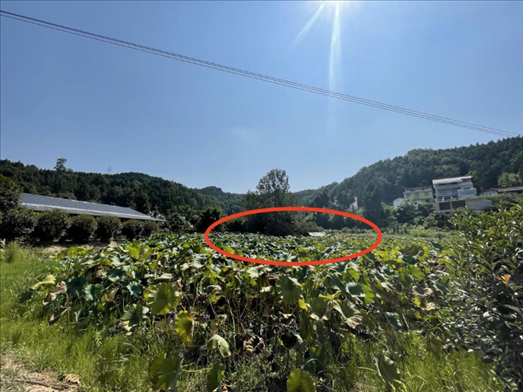 曾經(jīng)的圣水園所在地。 人民網(wǎng)記者 楊喬攝