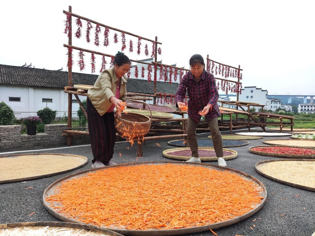 近日，江西省上饒市婺源縣秋口鎮(zhèn)王村的村民正在晾曬農(nóng)作物。新華社記者 劉佳敏 攝