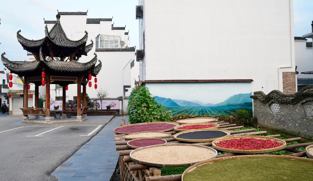近日拍攝的江西省上饒市婺源縣秋口鎮(zhèn)王村石門自然村曬秋場景。新華社記者 胡晨歡 攝