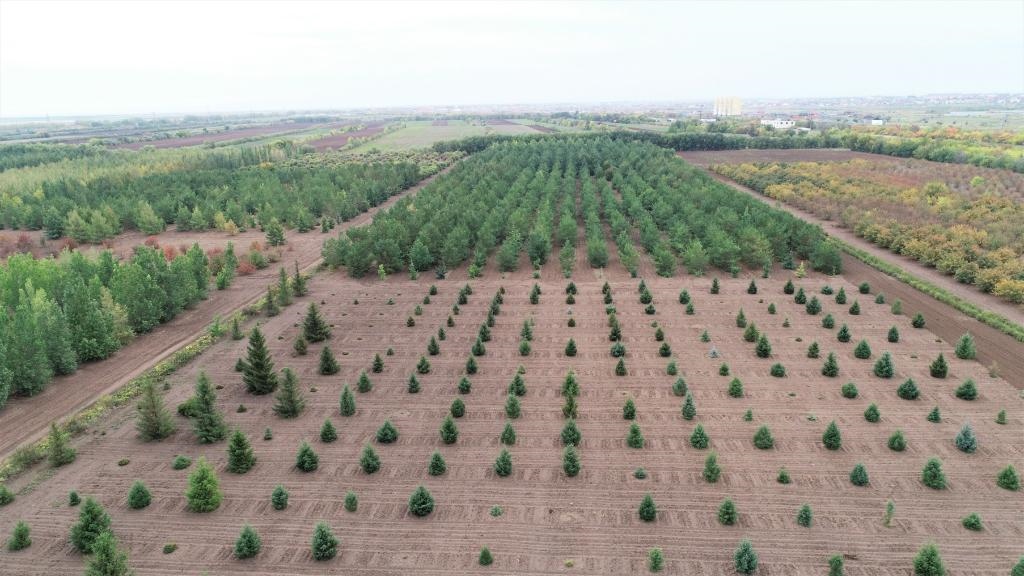 這是2023年9月11日在哈薩克斯坦首都阿斯塔納拍攝的一處植物種質(zhì)資源苗圃（無(wú)人機(jī)照片）。新華社發(fā)（法爾哈特·圖克諾夫 攝）