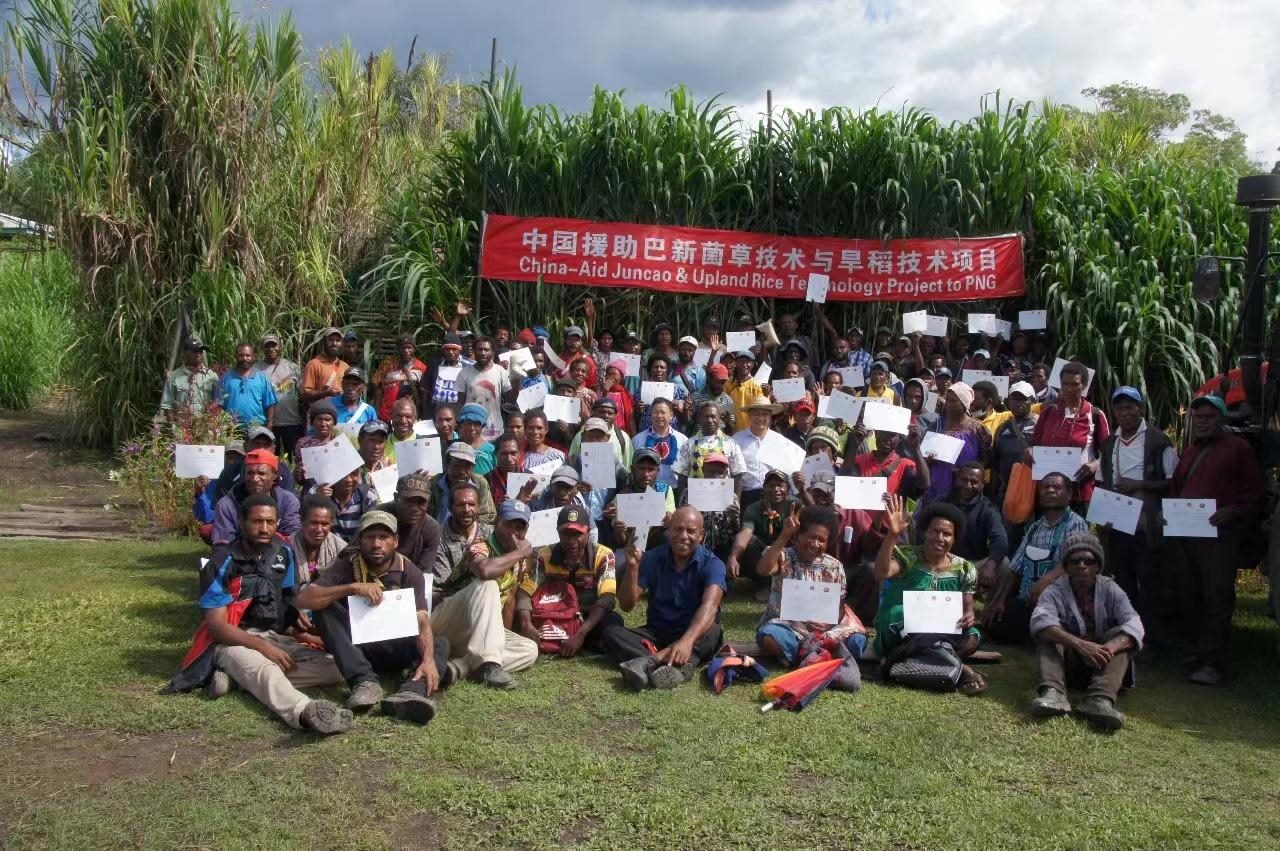 △2020年12月17日，在巴布亞新幾內(nèi)亞?wèn)|高地省，參加中國(guó)援助巴新菌草和旱稻技術(shù)項(xiàng)目第9期培訓(xùn)班的當(dāng)?shù)孛癖娬故窘Y(jié)業(yè)證書(shū)。
