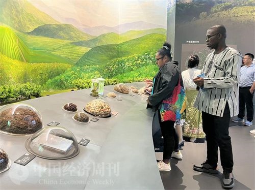  （在中國藥都中醫(yī)藥博物館，外媒記者了解中醫(yī)藥發(fā)展史。中國經(jīng)濟(jì)周刊記者 郭志強(qiáng) 攝）
