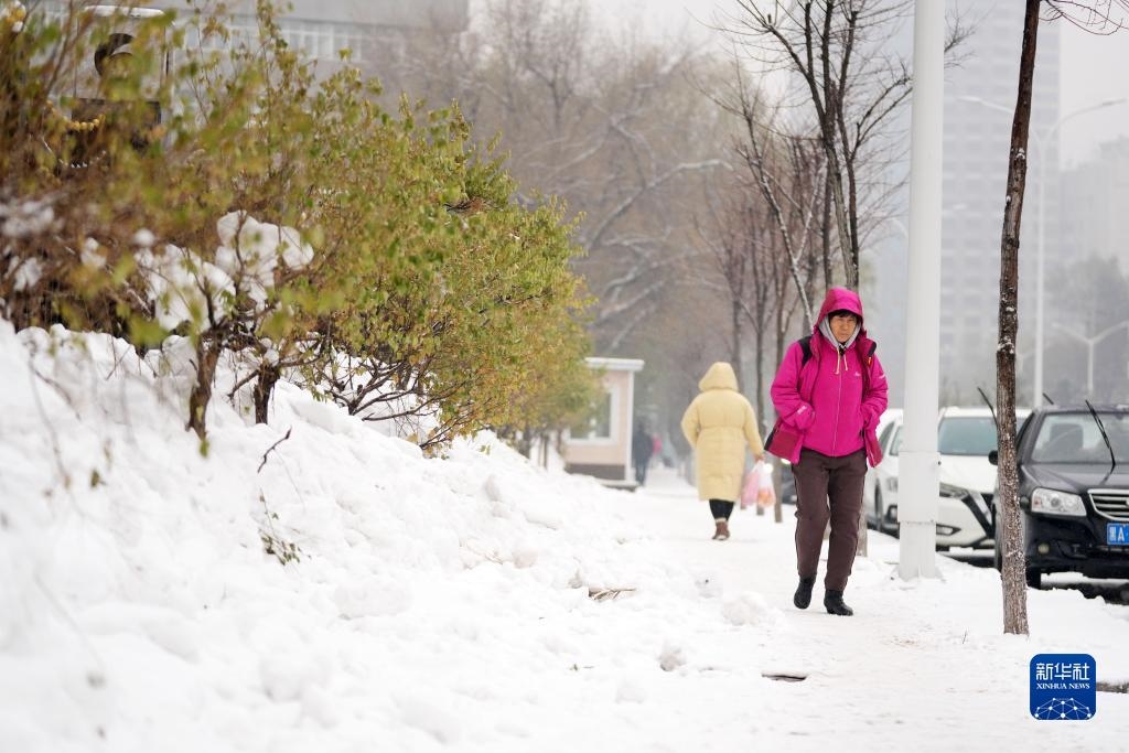 11月16日，市民在雪中前行。當(dāng)日，黑龍江哈爾濱市迎來(lái)雨雪天氣。新華社記者 王建威 攝