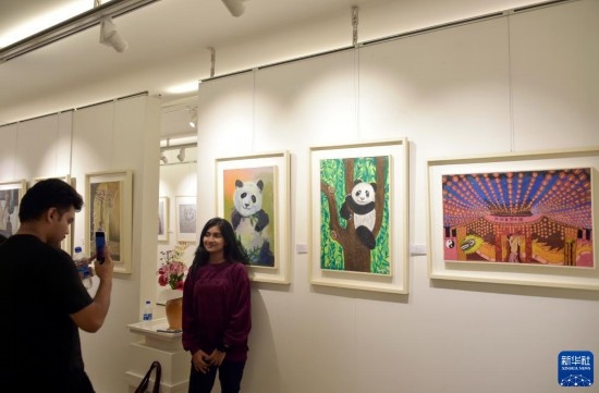 11月22日，在孟加拉國達卡，人們在“國家印象”繪畫展上參觀拍照。新華社發(fā)（薩利姆攝）
