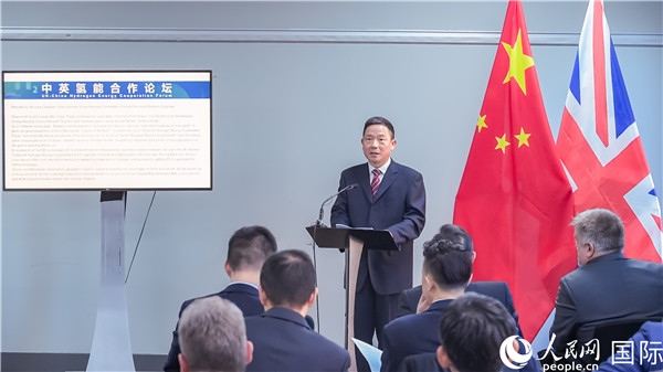 武漢市人大常委會副主任龍良文致辭。人民網(wǎng) 郭錦標(biāo)攝