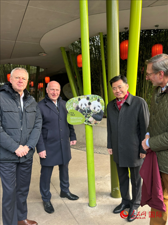 中國駐德國大使吳懇（右二）、柏林市長韋格納（左二）、動物園園長克尼里姆（右一）和監(jiān)事會主席布魯克曼（左一）共同為“夢想”“夢圓”大熊貓紀(jì)念牌揭幕。人民網(wǎng)記者 徐馨攝