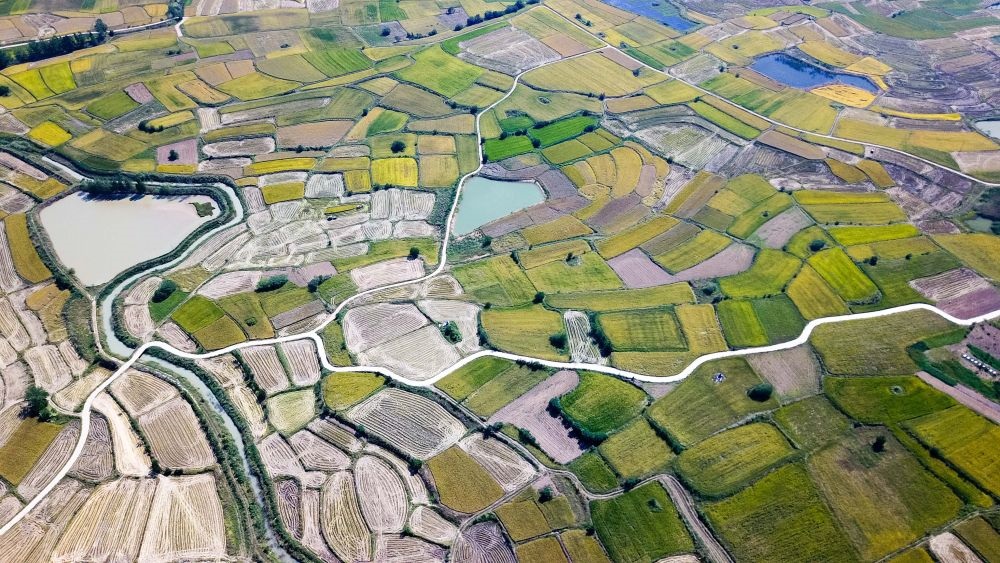安徽省鳳陽縣小崗村的田野景象（2018年9月27日攝，無人機(jī)照片）。新華社記者 張端 攝
