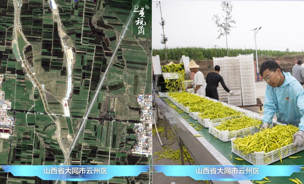 當前，大同市開發(fā)黃花菜品、食品、飲品、功能食品、化妝品、文創(chuàng)產(chǎn)品六大系列130余種，全產(chǎn)業(yè)鏈產(chǎn)值超40億元。