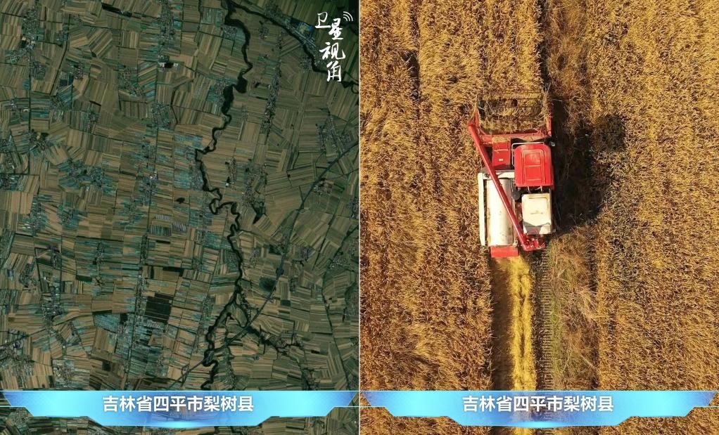 隨著現(xiàn)代化農機普及應用，保護性耕作“梨樹模式”得以大面積推廣，不僅使黑土地保護與利用持續(xù)深入，更為糧食作物高產(chǎn)穩(wěn)產(chǎn)助力。