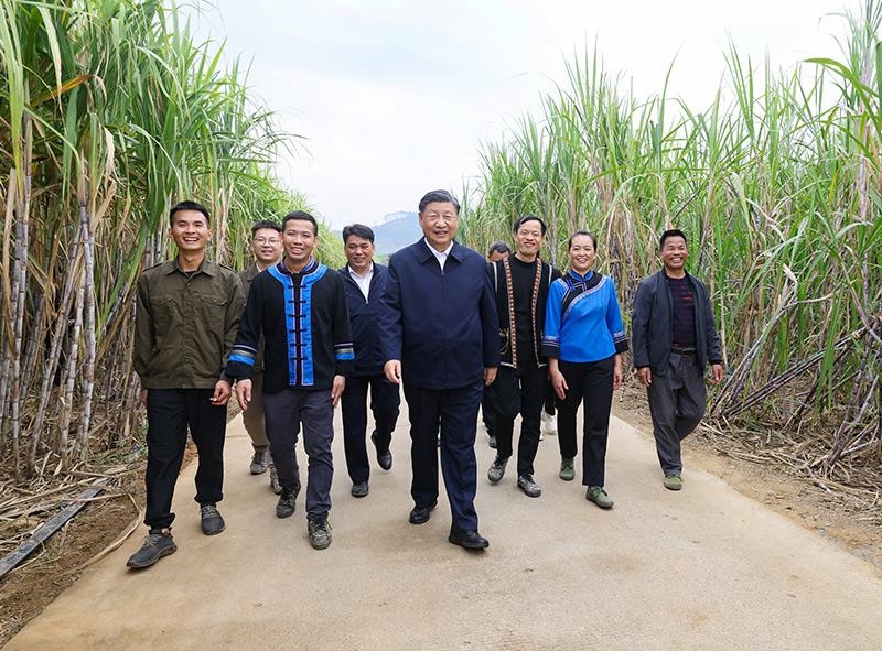 2023年12月14日，習(xí)近平總書記在廣西來賓市國家現(xiàn)代農(nóng)業(yè)產(chǎn)業(yè)園黃安優(yōu)質(zhì)“雙高”糖料蔗基地考察。