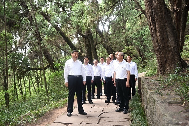 2023年7月25日，習(xí)近平總書記在四川廣元市劍閣縣翠云廊考察。新華社記者 謝環(huán)馳 攝