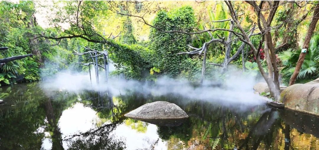 △鼓浪嶼-萬石山風(fēng)景名勝區(qū)重要組成部分廈門園林植物園熱門景點(diǎn)“雨林世界”。