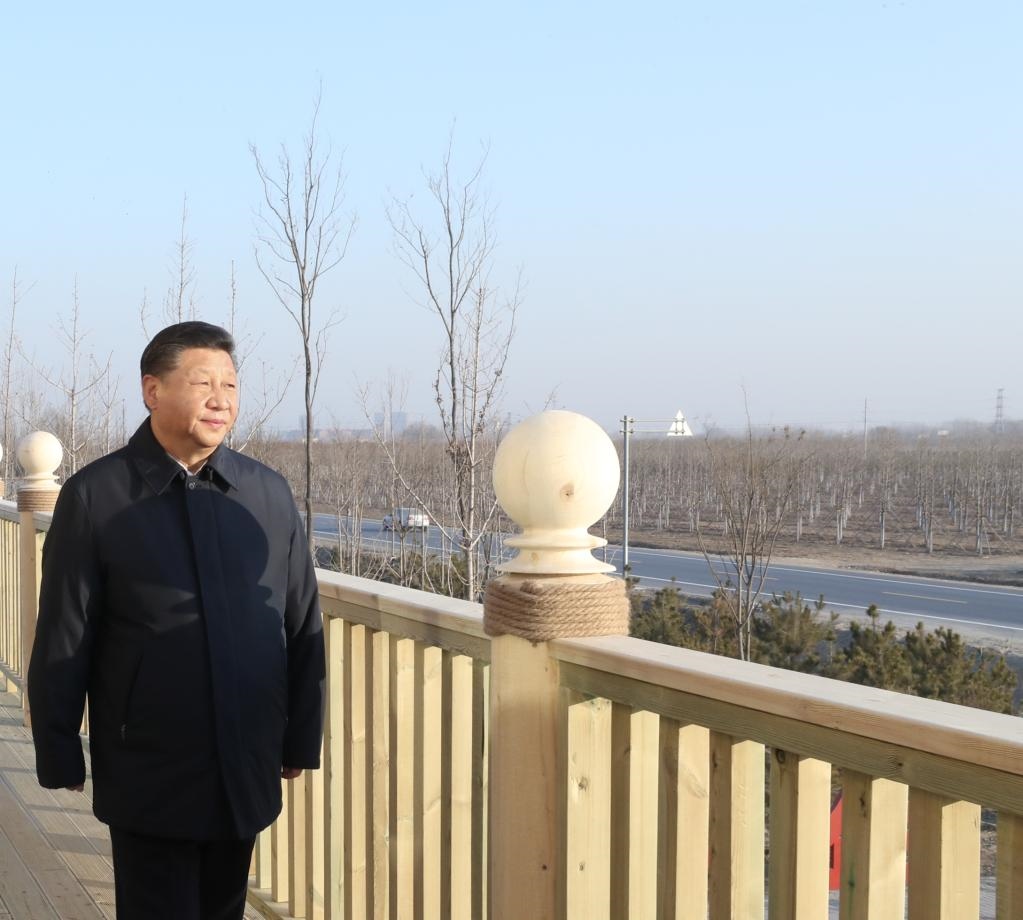 2019年1月16日，在河北雄安新區(qū)“千年秀林”大清河片林一區(qū)造林區(qū)域，習(xí)近平總書(shū)記登上秀林驛站二層平臺(tái)遠(yuǎn)眺林區(qū)全貌。新華社記者 鞠鵬 攝